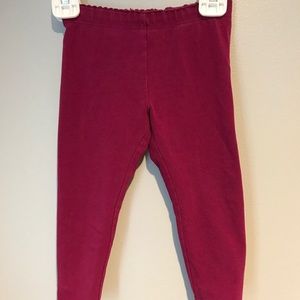 Tea Collection leggings